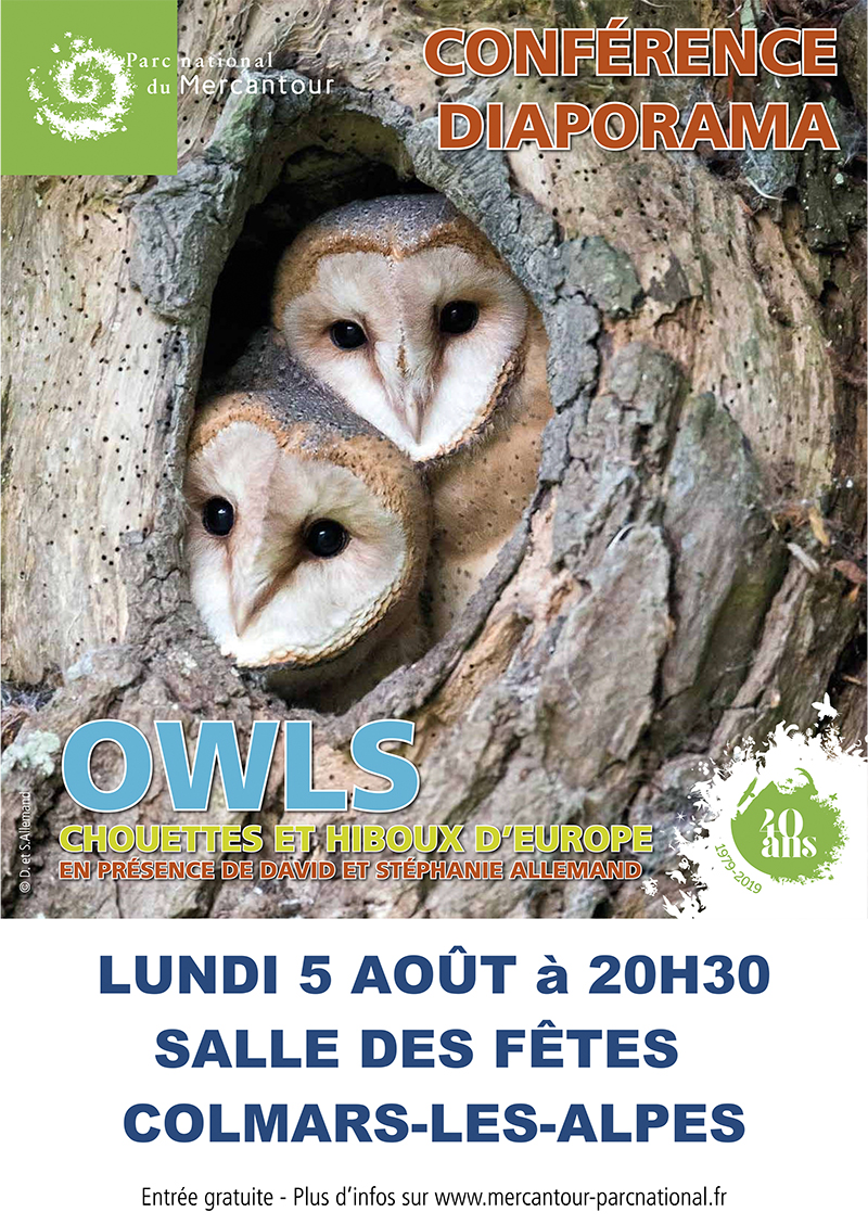 Conference “OWLS” – OWLS